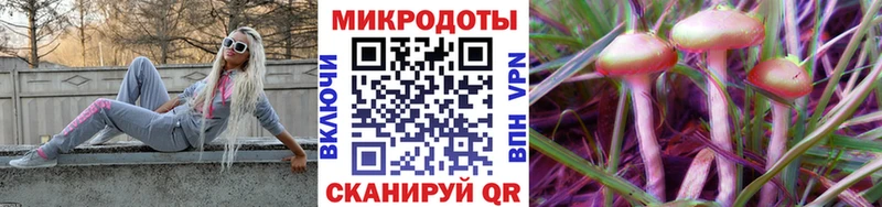 kraken сайт  Злынка  Галлюциногенные грибы Psilocybe 