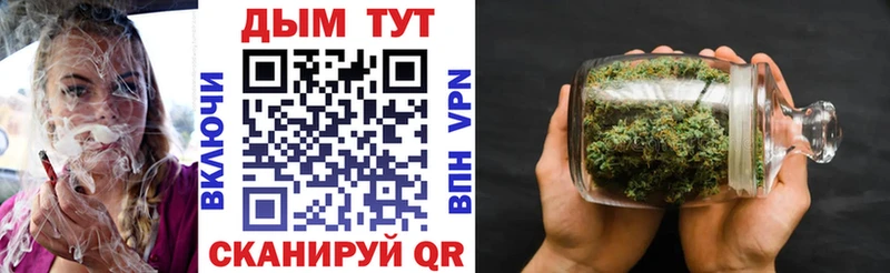 Шишки марихуана семена Злынка